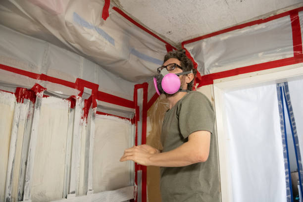 Best Industrial Mold Remediation  in Hamilton College, NY