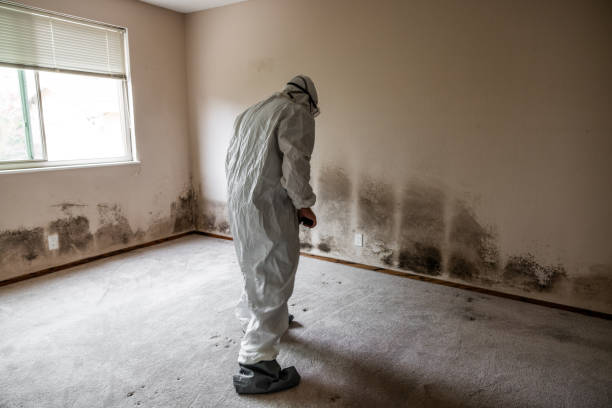Mold Remediation for Rental Properties in Hamilton College, NY